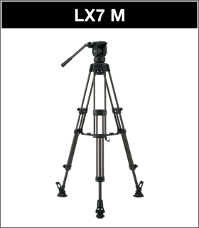 LX7 M