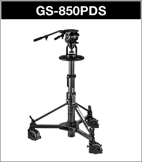 RSP-850PD(S)